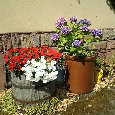 Guest house Gastehaus Zum Alten Schulhaus Miltenberg